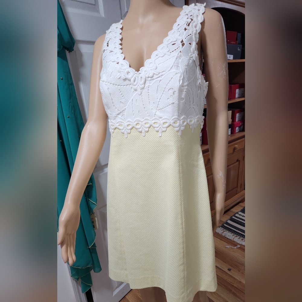 Lilly putizer dress